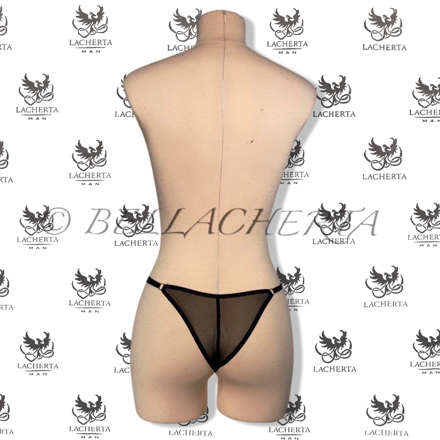 Adjustable Straps With Clasps Sheer Panty