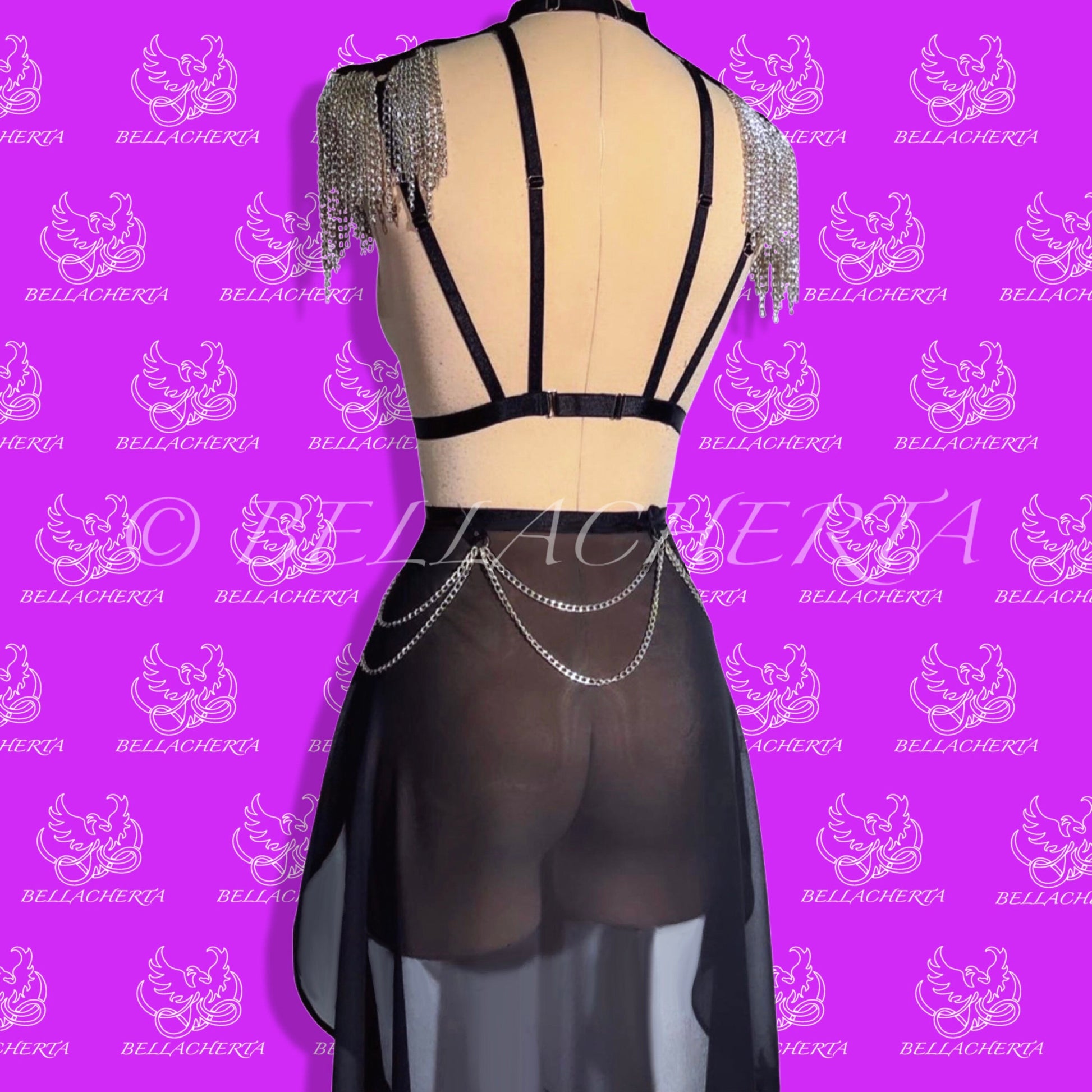 Chainlink Harness and Sheer Skirt Lingerie Set