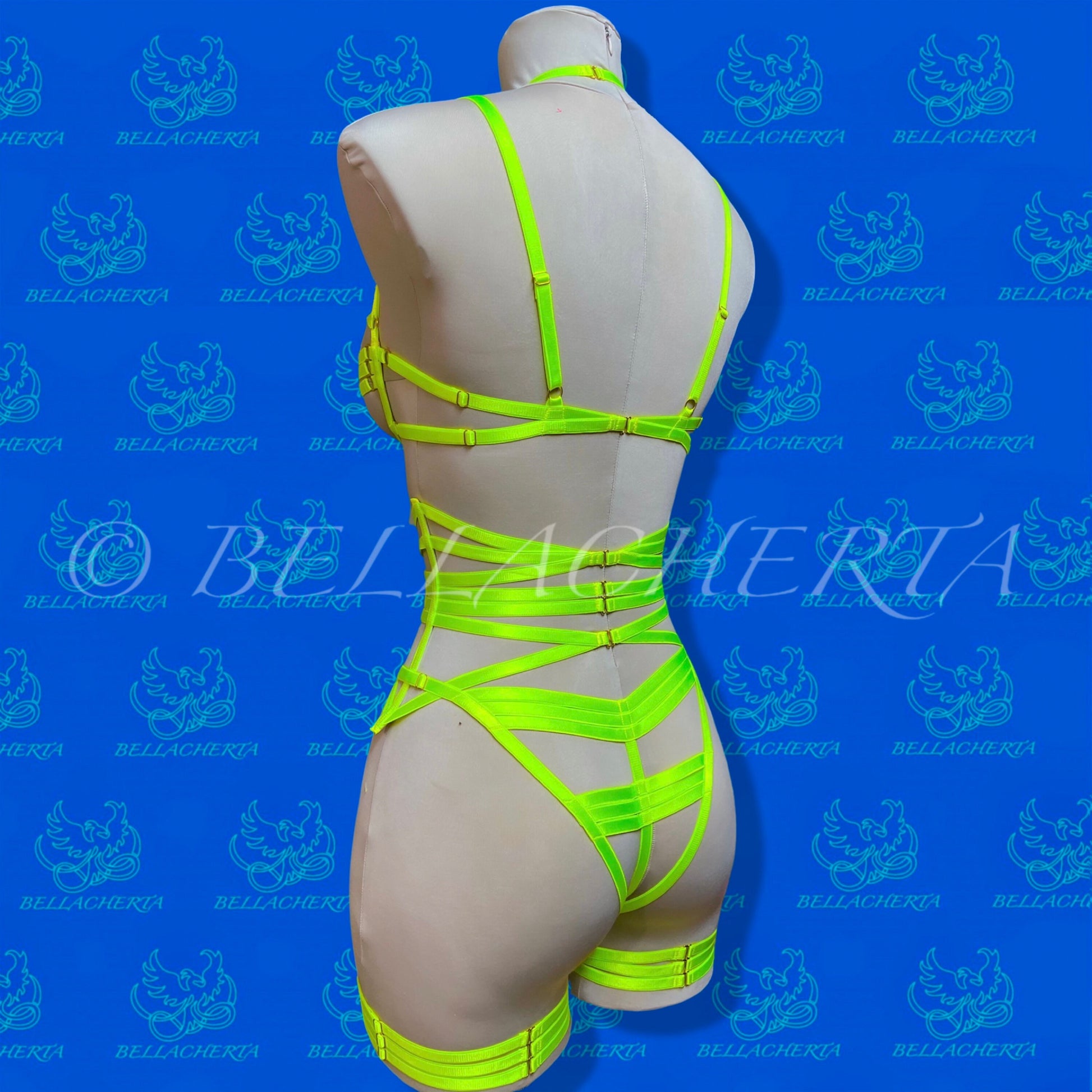 Strappy Bra with matching Panty, Garter Belt and a Pair of Garters Fluorescent Harness Lingerie