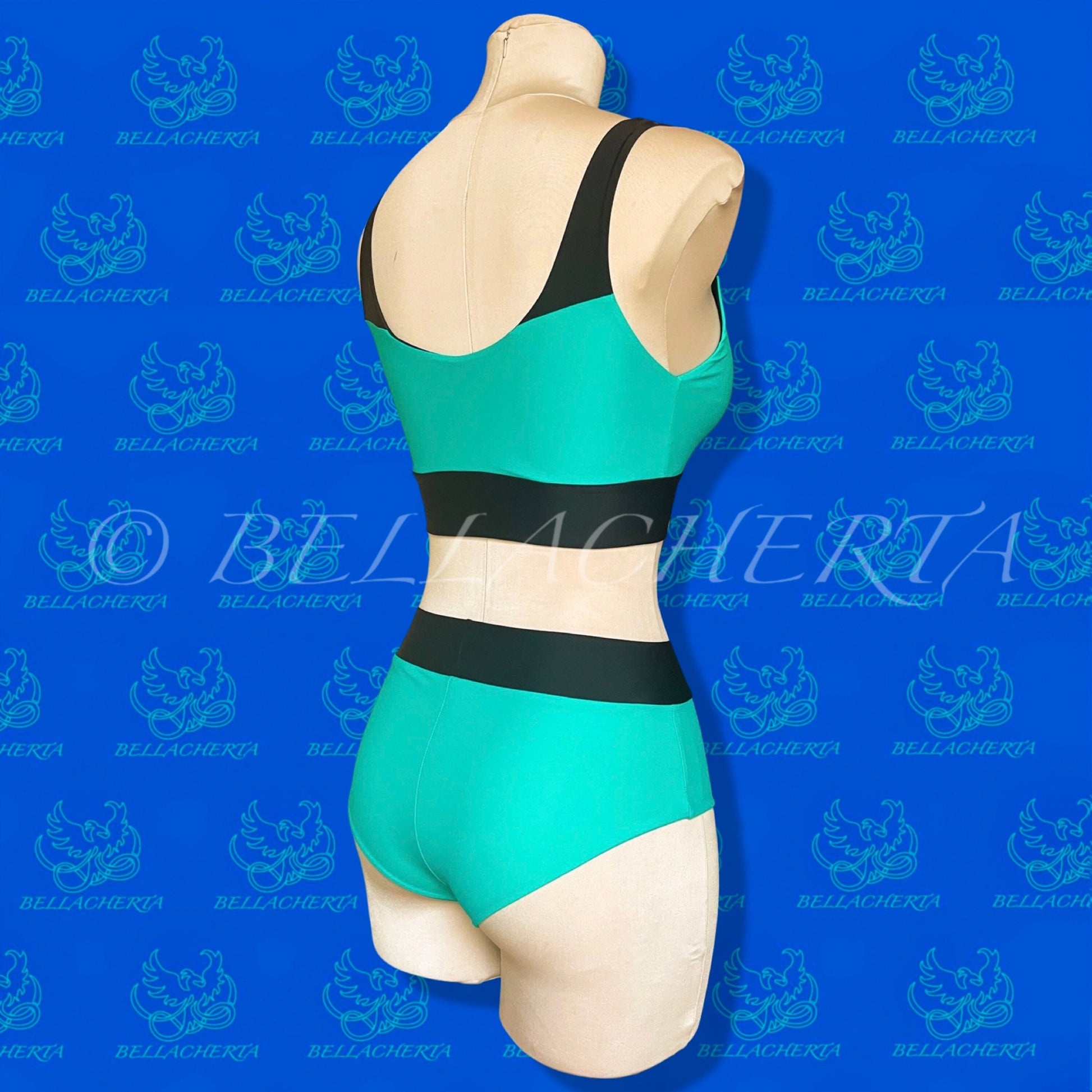 Contrasting Colors High-Waisted Panties and Top