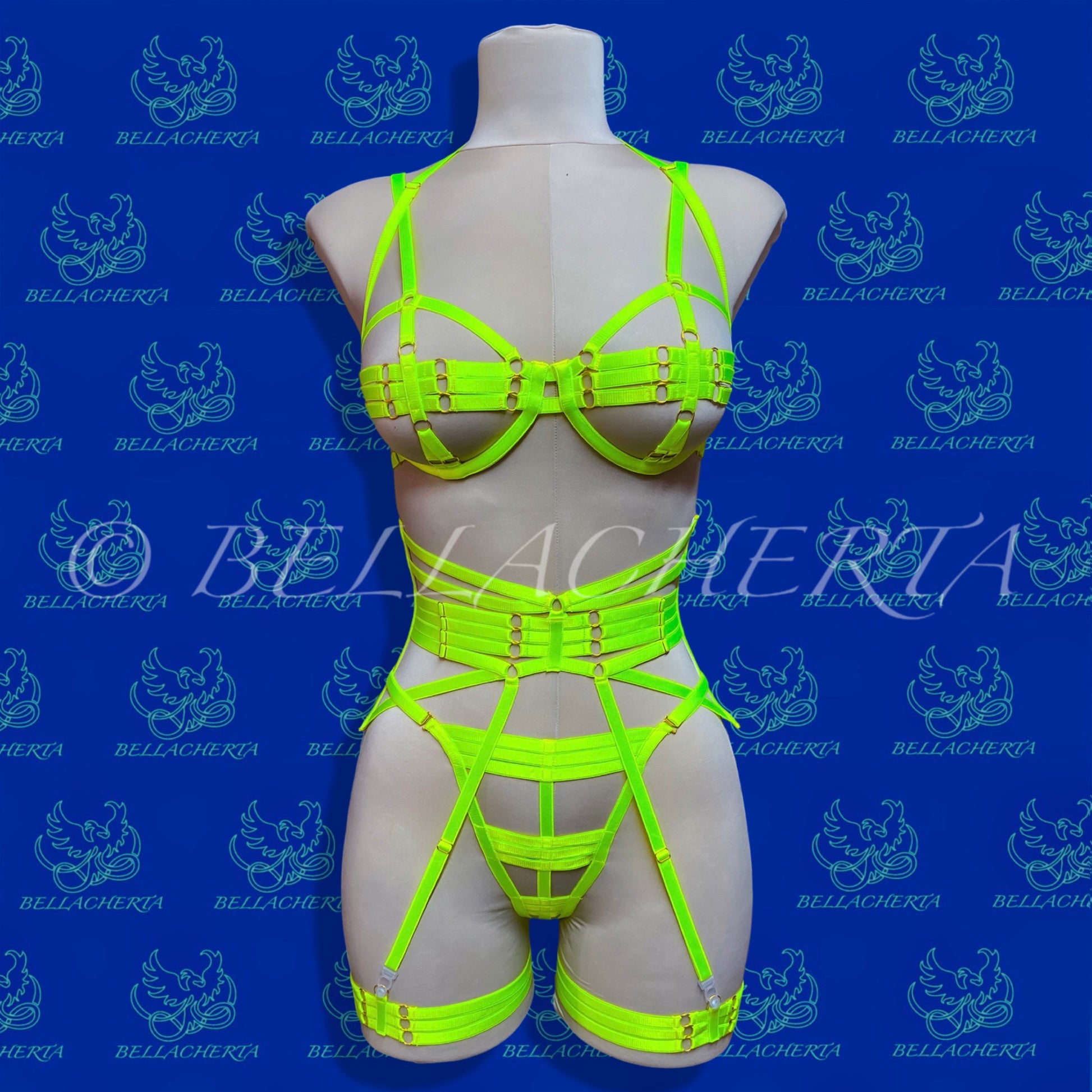 Strappy Bra with matching Panty, Garter Belt and a Pair of Garters Fluorescent Harness Lingerie