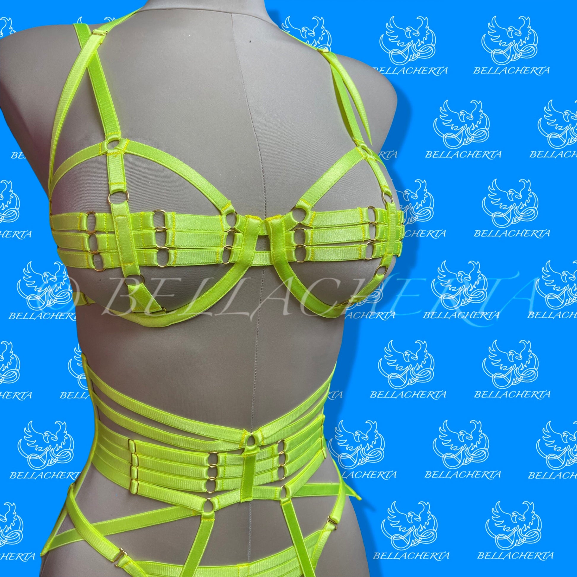 Strappy Bra with matching Panty, Garter Belt and a Pair of Garters Fluorescent Harness Lingerie