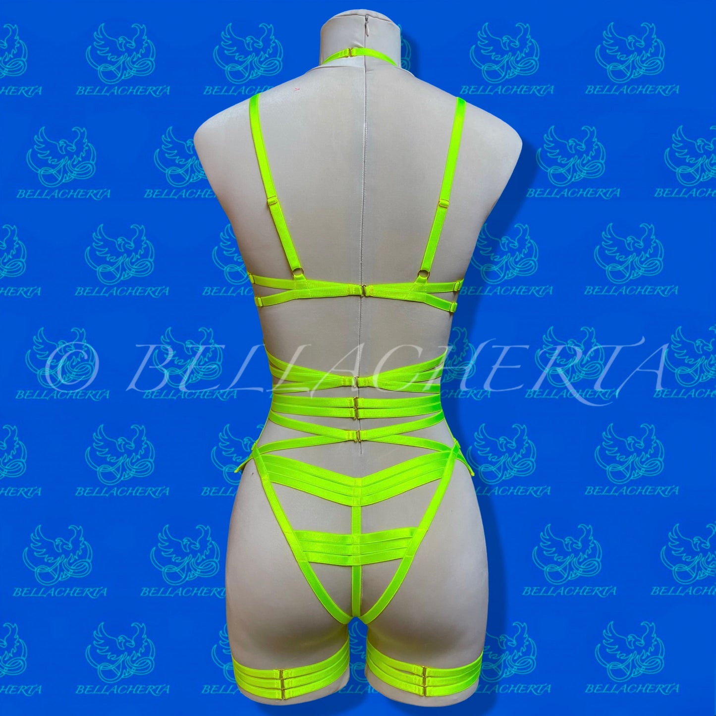 Strappy Bra with matching Panty, Garter Belt and a Pair of Garters Fluorescent Harness Lingerie