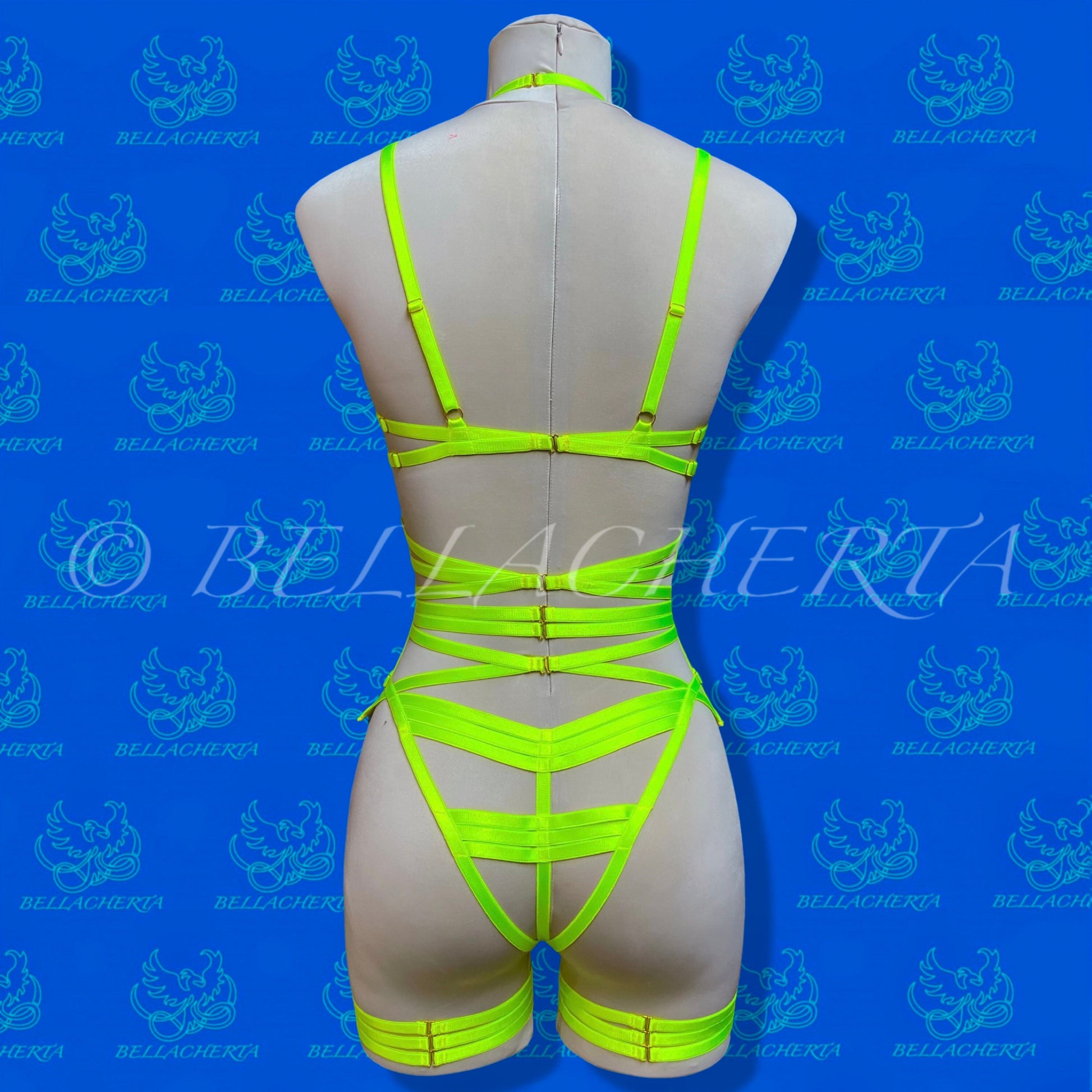 Strappy Bra with matching Panty, Garter Belt and a Pair of Garters Fluorescent Harness Lingerie