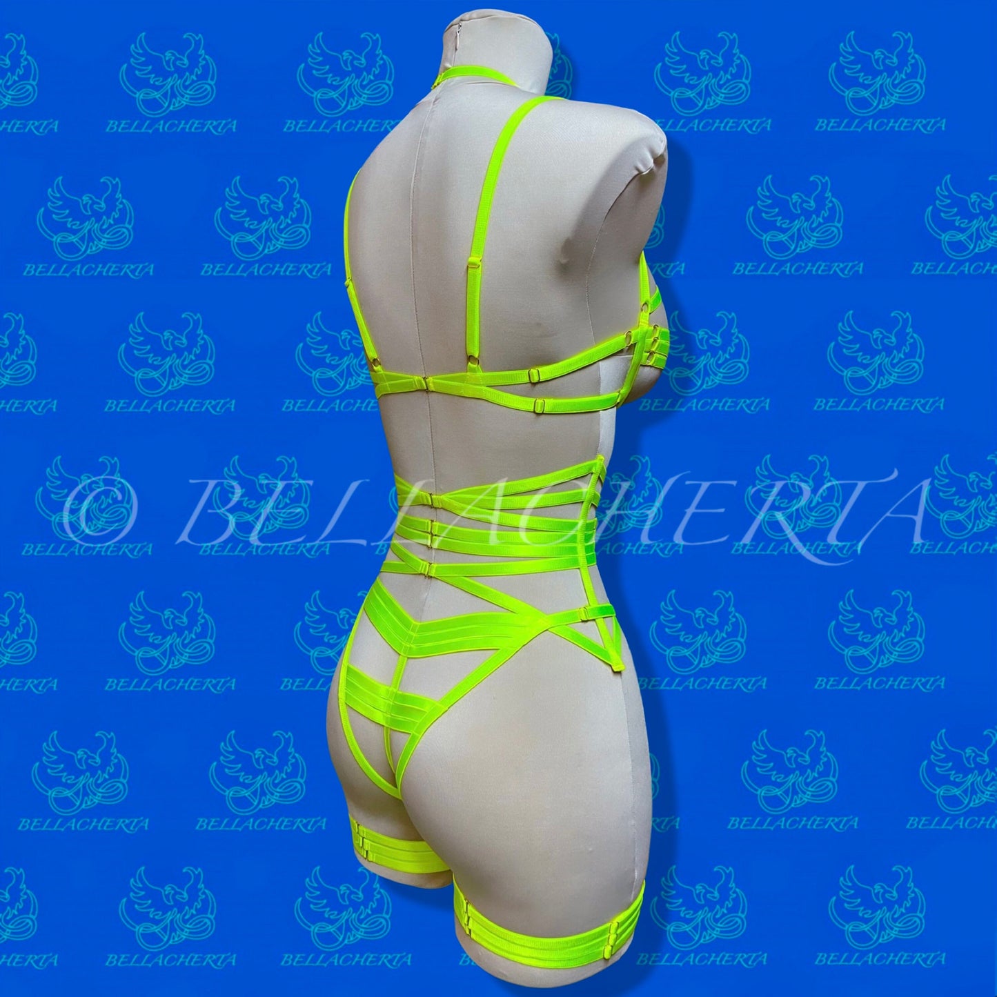 Strappy Bra with matching Panty, Garter Belt and a Pair of Garters Fluorescent Harness Lingerie