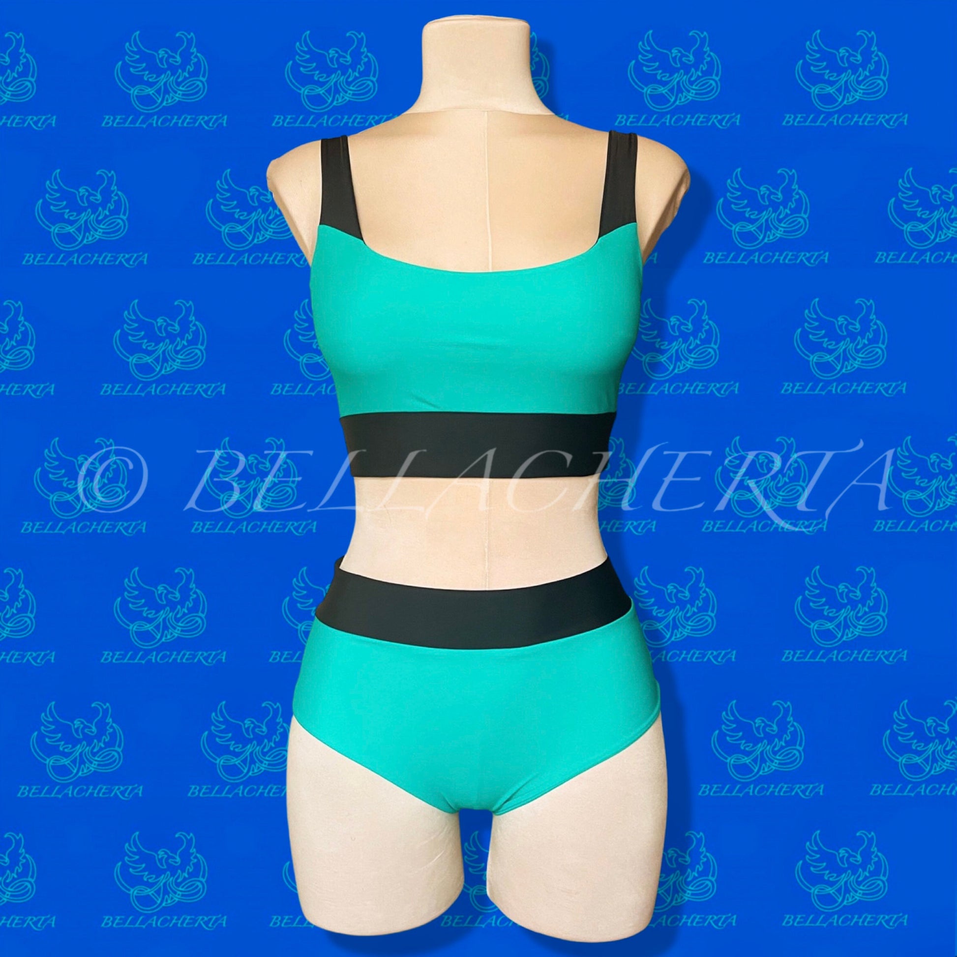 Contrasting Colors High-Waisted Panties and Top