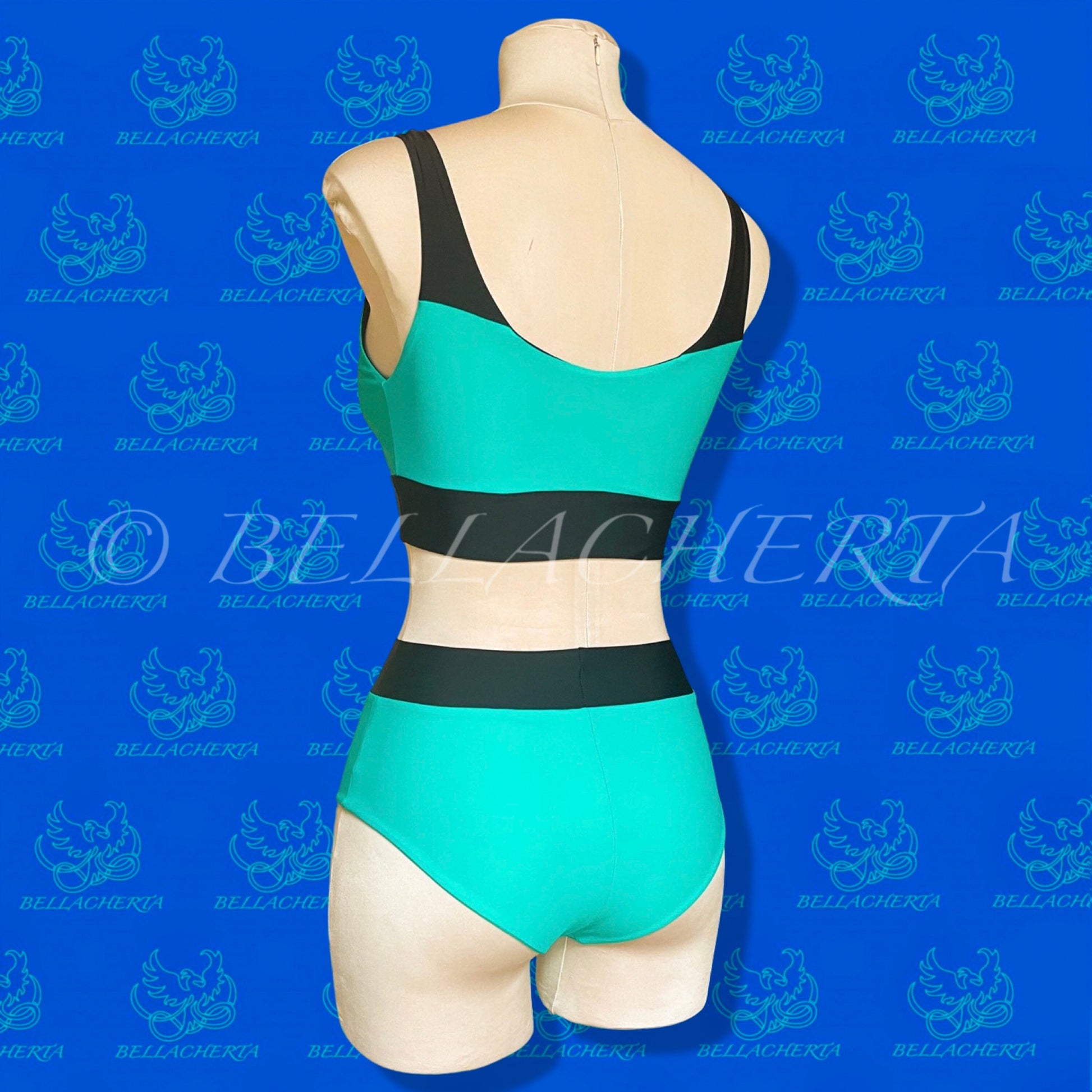 Contrasting Colors High-Waisted Panties and Top