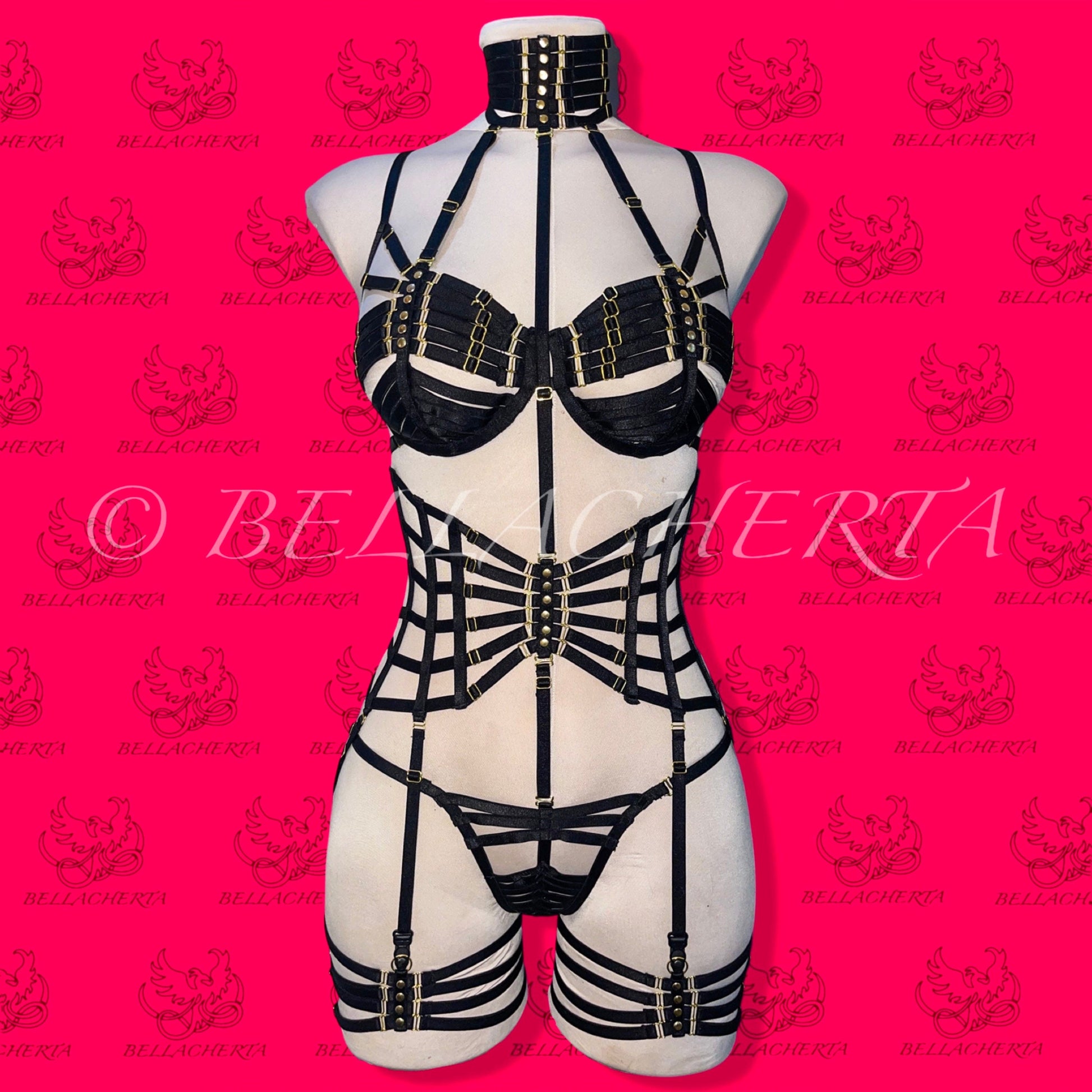 Full Body Harness Lingerie set / Strappy Bra with matching Choker, Panty, Garter Belt, and a pair of Garters Spiderweb Lingerie