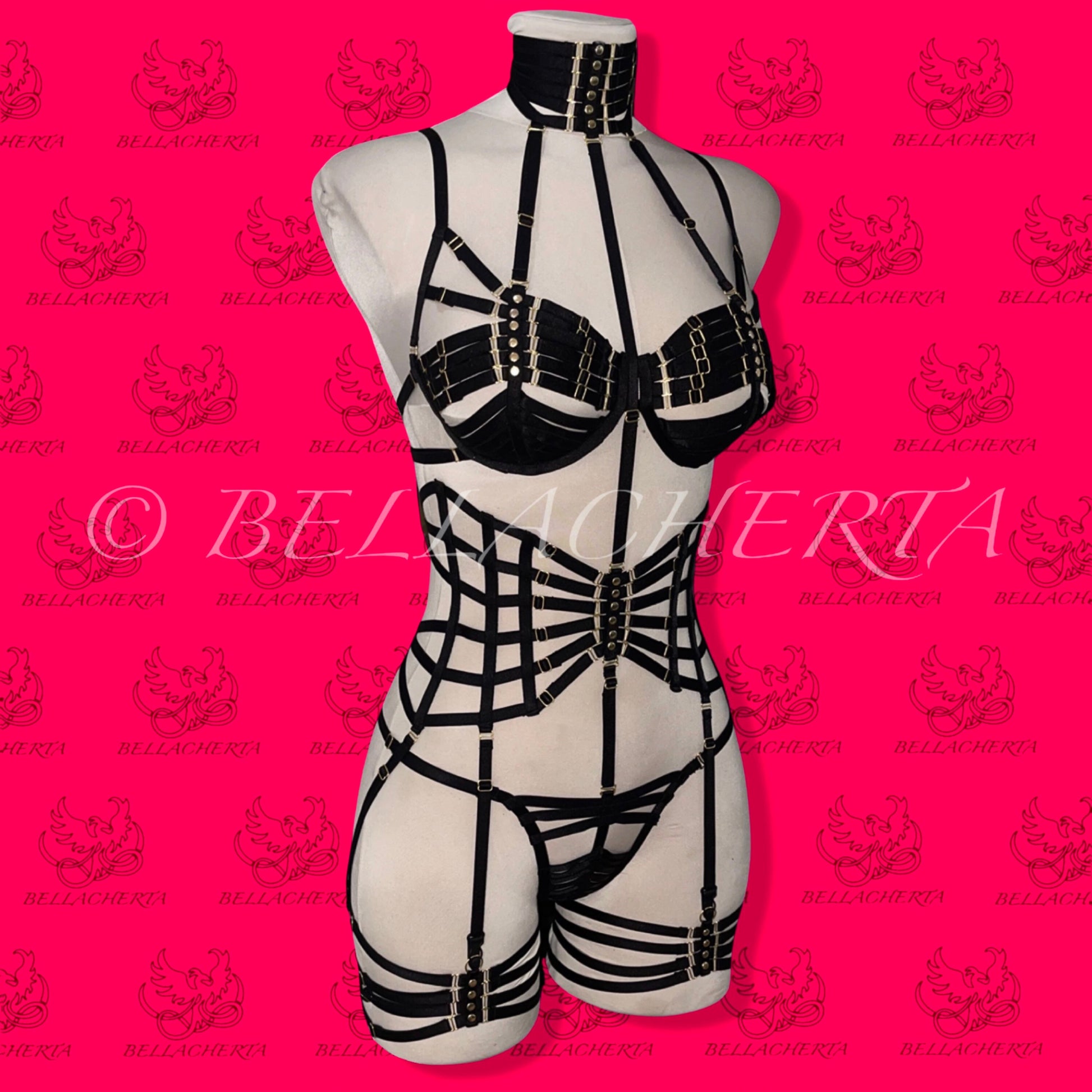 Full Body Harness Lingerie set / Strappy Bra with matching Choker, Panty, Garter Belt, and a pair of Garters