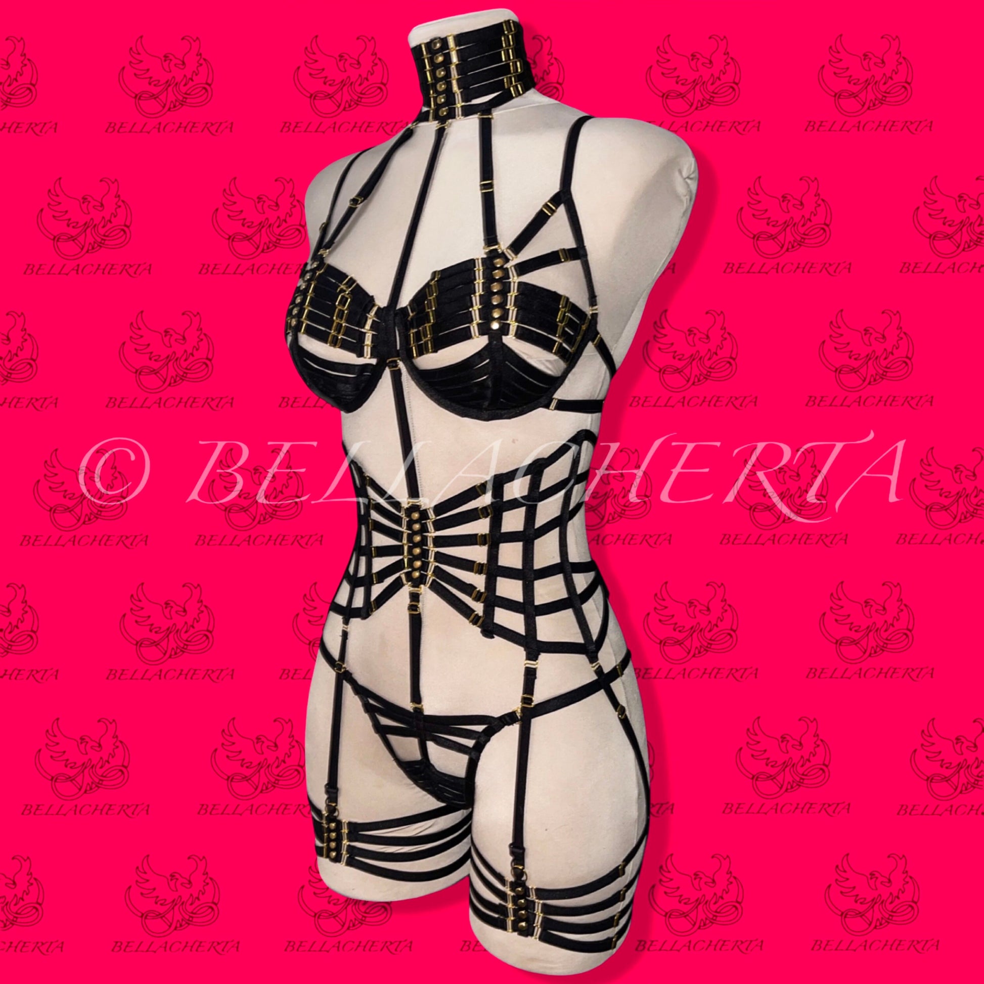 Full Body Harness Lingerie set / Strappy Bra with matching Choker, Panty, Garter Belt, and a pair of Garters