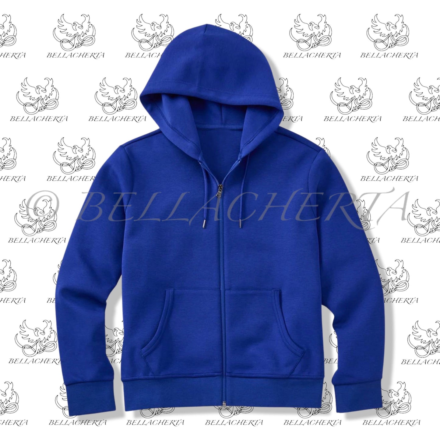 Modern Classic Drawstring Hoodie With Front Zipper