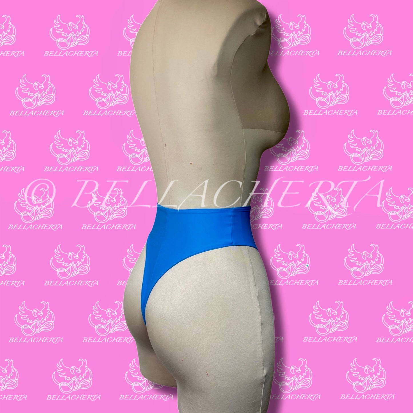 High Waist Thong Back Panties (All Major Colors)