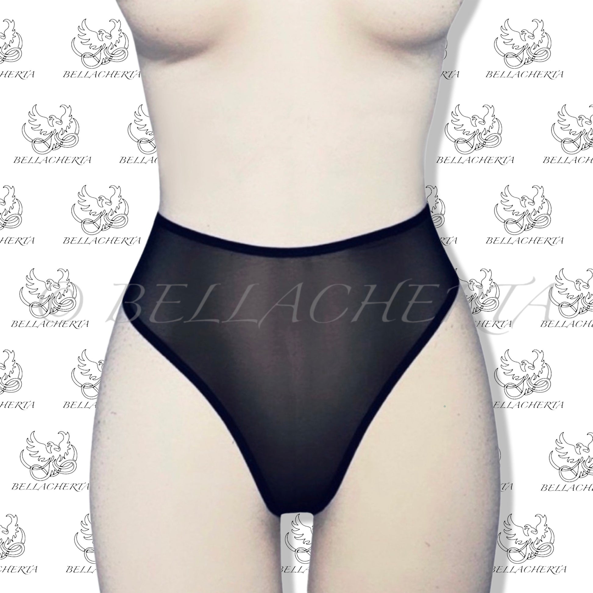 High Rise High Leg Mesh Panty