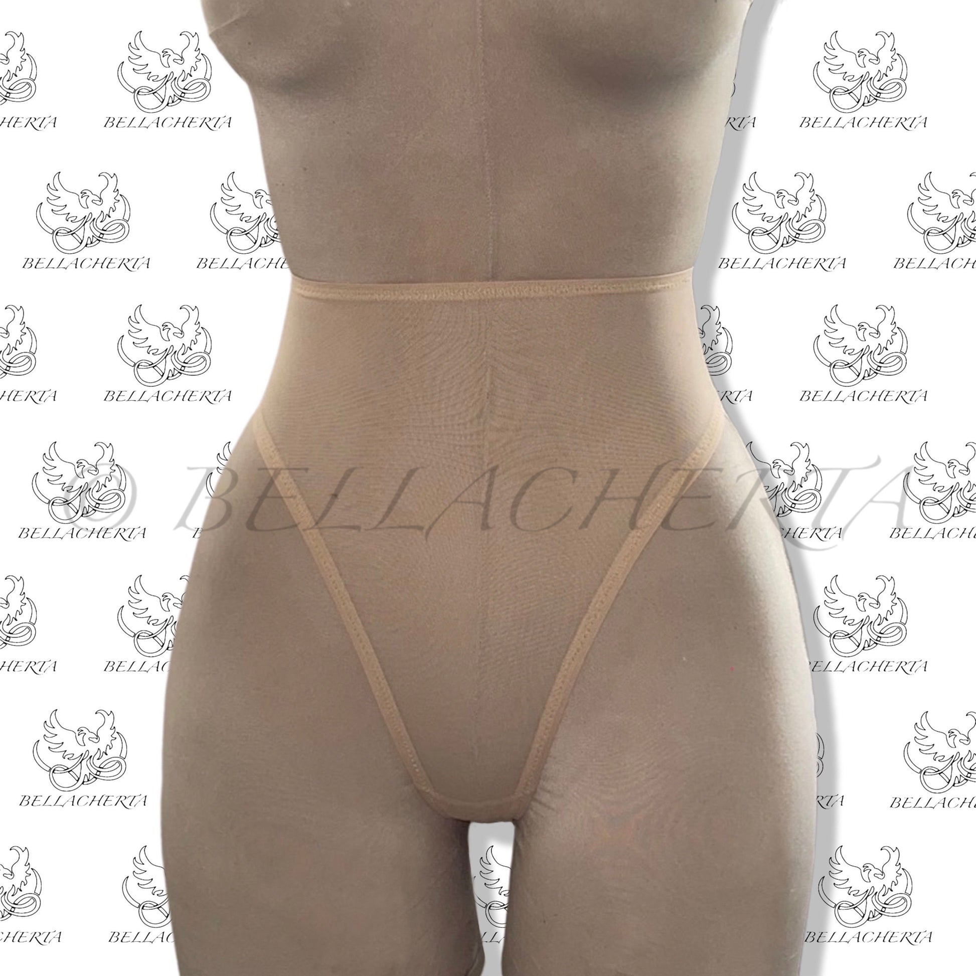 High Rise High Leg Nude Mesh Panty