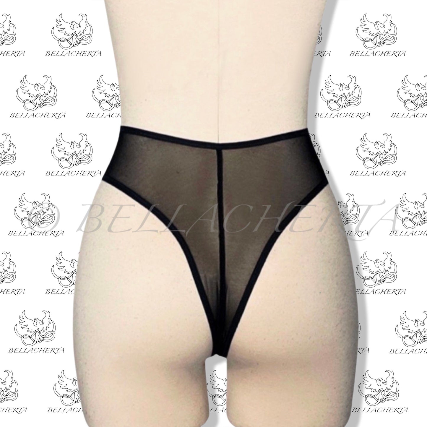 High Rise High Leg Mesh Panty