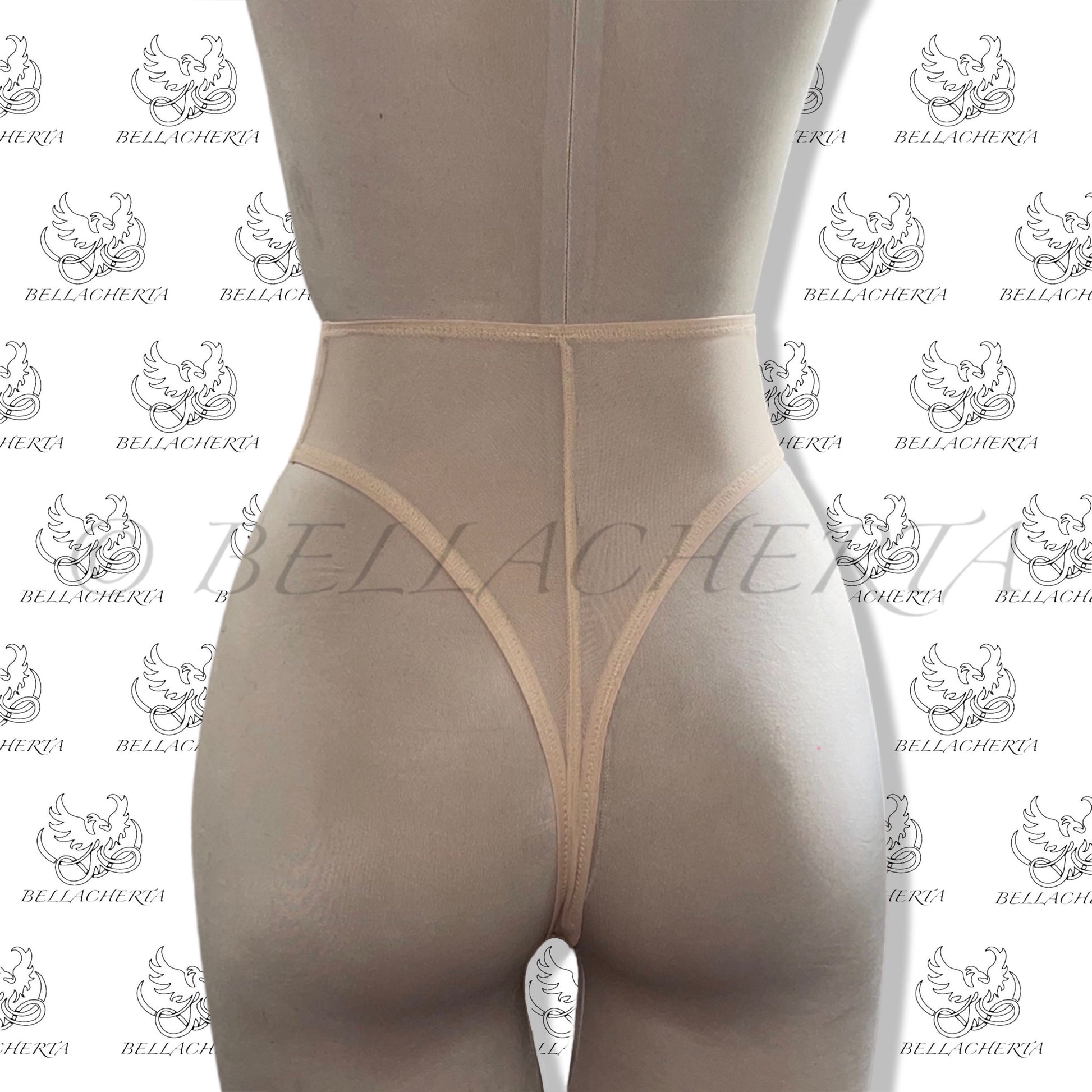 High Rise High Leg Nude Mesh Panty