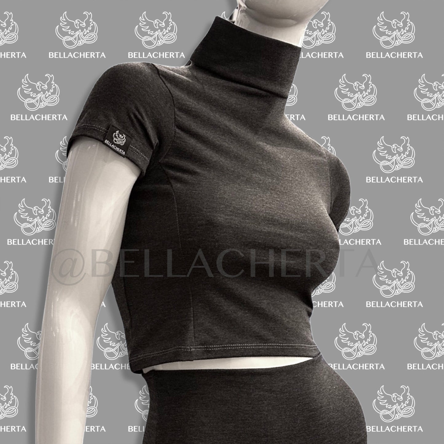 Short Sleeved Cropped Turtleneck Shirt.