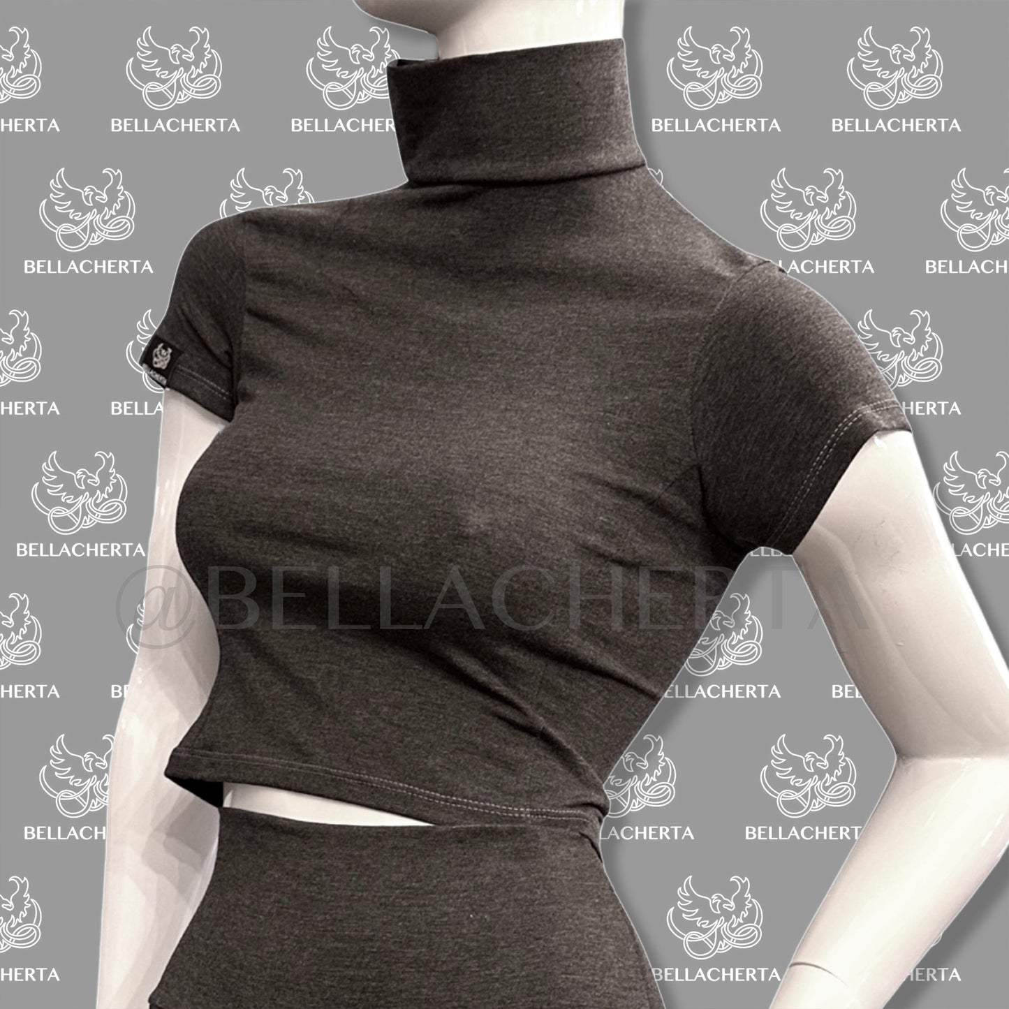 Short Sleeved Cropped Turtleneck Shirt.