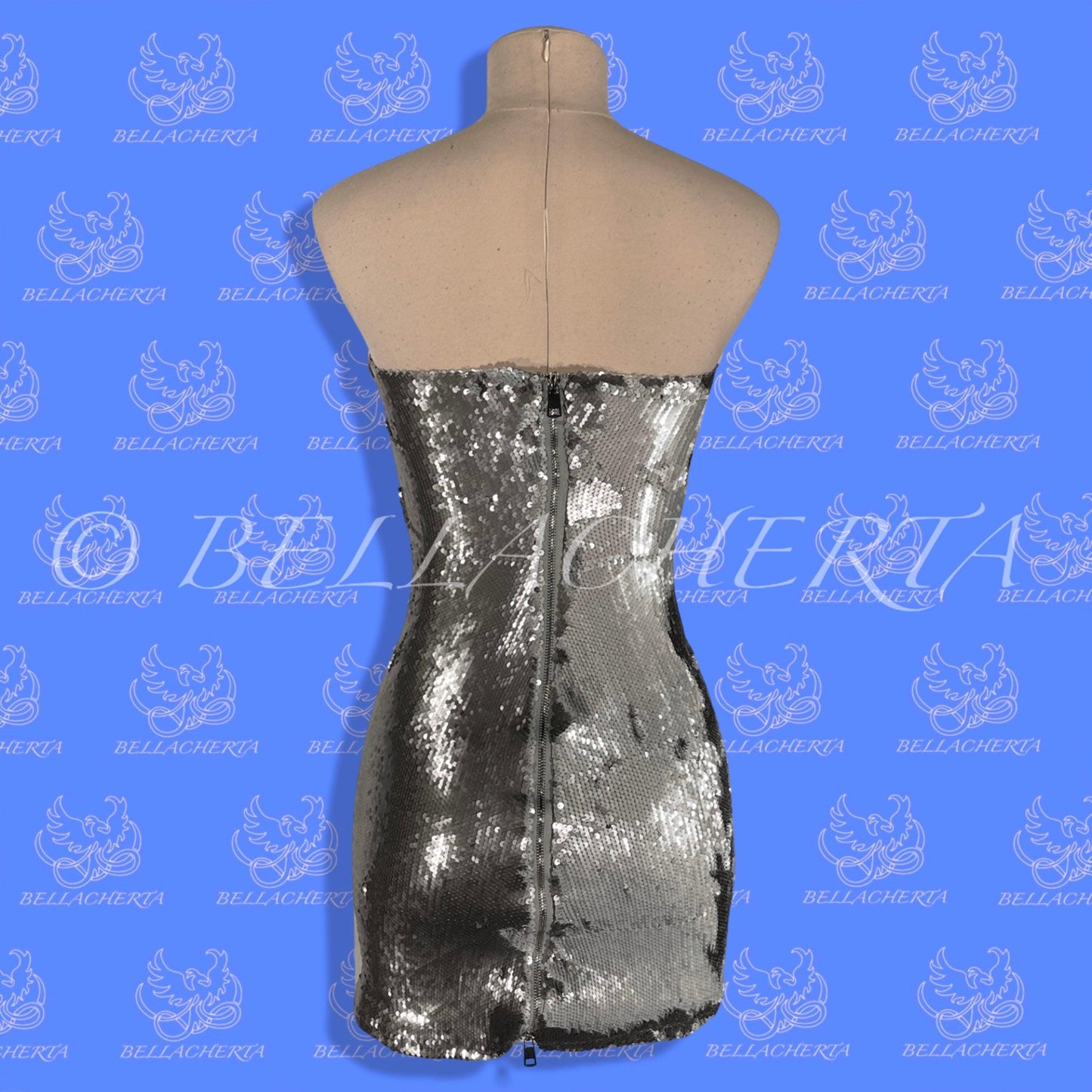 Silver Sequins Mini Dress