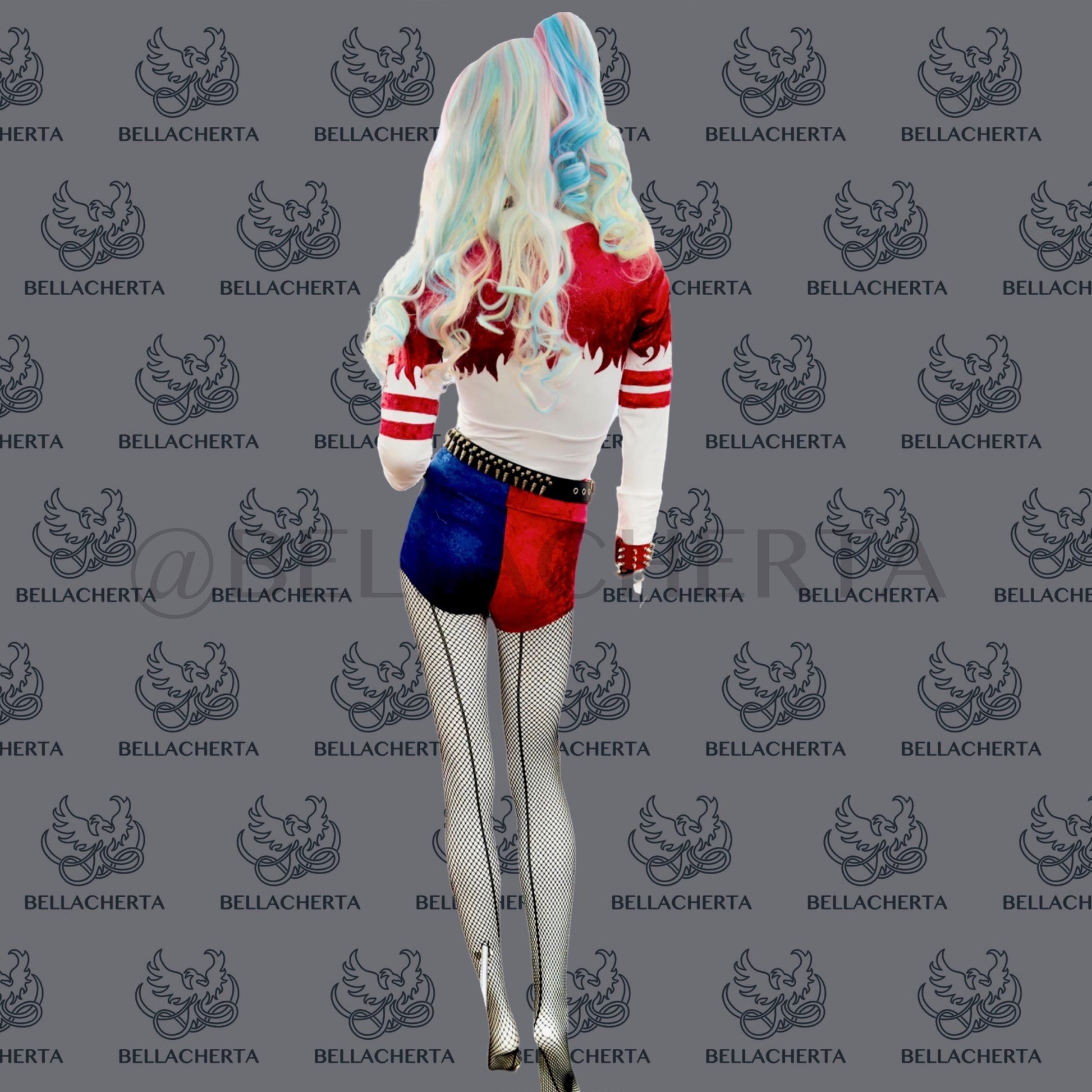 Harley Quinn Halloween Full Costume Set